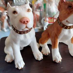 หมา หมาพิทบูล พิทบูลขาว ตกแต่งบ้าน จัดสวน