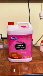 [HN] Nước Rửa Tay Premium Hand Soap Mr Fresh Hàn Quốc 5L (Freeship Max)