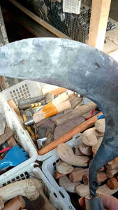 arit kored rumput baja selap isen besar tajam sepuh Dan tempa