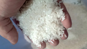 5KG - 10KG PREMIUM JASMINE FRAGRANT RICE