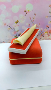 Once cangklong tulang sapi model taring A60