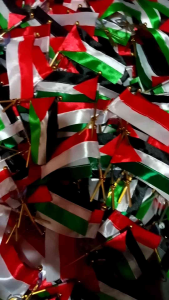 BENDERA PALESTINA INDONESIA SILANG