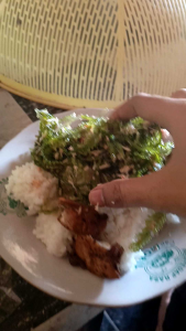 250 gr Anggur Laut/Latoh/Lawi-Lawi/Bulung Boni/Umibudo