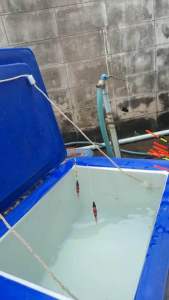 ทุ่นลอย งานลอย ตกปลาปิ๋วชิงหลิวถ่วงตะกัวพร้อมใช้งาน