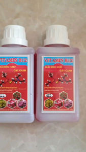 vitamin b12 giải độc cho cây hoa kiểng và lan các loại - chai 100ml