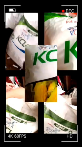 PUPUK BUAH KCL PUTIH PAK TANI ORIGINAL 5 KG