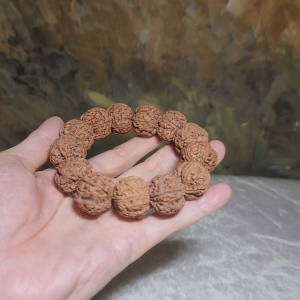 Gegegems XL 23mm+ to 24mm premium natural Nepal Rudraksha 5 Mukhi (faces) pink skin from high altitude dense & high oil contents same tree Double Dragons Panlong bracelet