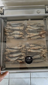 Tuyo Salinas Medium (Tabagak) from Estancia Iloilo - Sun-Dried Mildly Salted