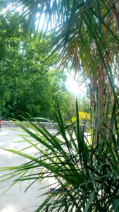 Bubble Refill Liquid Solution Toy Buih Air Sabun Ready to Use