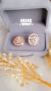 Giwang Padi Titanium Lapis Emas Anti Luntur Awer