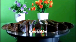 Pahul/handle/gagang Joran Pancing Ruyung untuk Joran Timbang/ningnong 80cm Model Sepatu