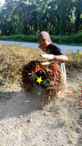 Tojok Super Kuat Model Kolong dan T Besi 14mm
