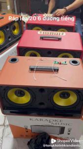 Loa 2 bass 20 (6 đường tiếng)