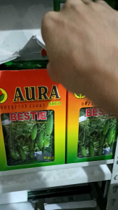 BIBIT TIMUN TAHAN VIRUS BESTIE F1 ISI 20 GRAM AURA SEED Setara Benih Semi Saena F1 Bintang Asia