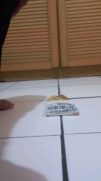Buyer review video 2