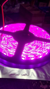 Lampu Roll 5050 5meter 24V - Lampu Neon 24V 5Meter Led 5050 Harga 1Roll