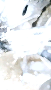 RAINSNOW - Shampo Touchless Premium Mobil dan Motor Tanpa Sentuh 1 Liter