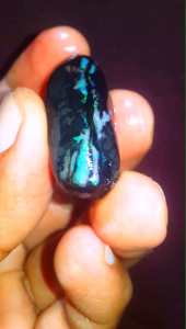 Jumbo Bongkahan Batu Black Opal Kalimaya Sempur Banten Top Sisit Jarong Natural Biyang Bahan Ranting Siap Naik Ring