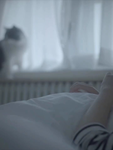 [QPet]🚀 HELLS KITCHEN🐱Puru Sauce New Food Feeling Cat Sauce Dog Sauce Canned Cat Strip Meat Paste Puru Sauce Wonderful Bag