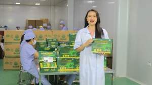 Q-fucoidan hỗ trợ tăng cường khả năng chống oxy hóatăng cường sức đề kháng