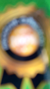 Pupuk Russell Cote 1kg 23-10-10+25mgo+TE