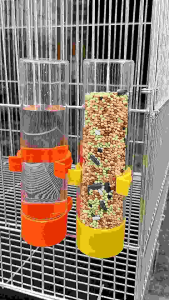 Automatic water feeder and feeder
