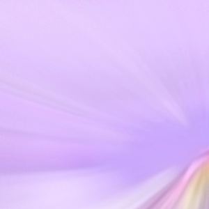 TAS RANSEL SEKOLAH ANAK PEREMPUAN SANRIO KUROOMI MEELODY CINNAMOROL TAS SEKOLAH TAS RANSEL TAS ANAK