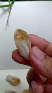 #RJ073 ซิทริน | Citrine ผลึกสีเหลือง หินธรรมชาติ หินสะสม น้ำหนัก 8 กรัม ผลึกธรรมชาติ