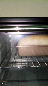 Sourdough sandwich bread - ขนมปังซาวเวอร์โดว์แซนด์วิช (not slice 🍞)