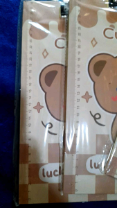 Papan Jepit  Ujian Karakter Beruang Bisa Untuk Penggaris