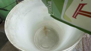 Bacillus Subtilis 枯草芽孢杆菌 1kg (TX-1) 35 bilion /g 350亿/g 菌数量