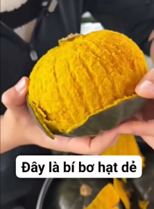 1kg quả bí ngô hạt dẻ bí bơ mini dẻo bùi thơm ngọt tự nhiên-bí bơ hạt dẻ