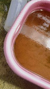 หัวเชื้อน้ำเขียวสูตรขยายไรแดง ซื้อ3แถม1 ขนาด1.5ml