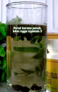 SALIMAH SLIM SR12 HERBAL PELANGSING DAN DIET BPOM