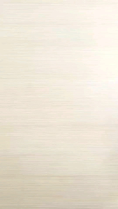 Seri Cerita Hewan Langka: Anoa Pegunungan Rendah Hati & Badak Sumatra Pemberani