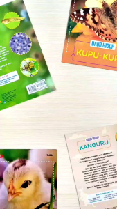SET Seri DAUR HIDUP : AYAM BUNGA MATAHARI HIU KANGURU KATAK KUPU-KUPU