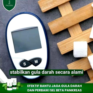 Yacona – Obat Herbal Diabetes Ekstrak Daun Yakon Ampuh Atasi Kerusakan Sel Pankreas