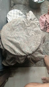 Biang Jamur POC Jakaba Super
