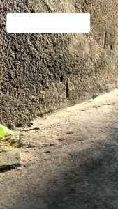 Lăn nách Etiaxil Pháp 15ml.Giảm tiết mồ hôi khử mùi tuyệt đối