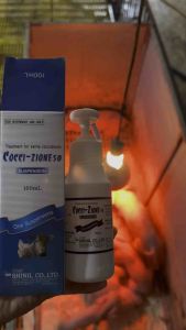 COCCI - ZIONE 50 100ml - cầu trùng heo bê nghé - nhập khẩu Hàn Quốc