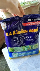 24-ดี-โซเดียม ซอลต์ ตรา เหรียญทอง สารกำจัดวัชพืช ป้องกันกำจัดวัชพืชใบกว้าง ผักปอดนา เทียนนาและวัชพืชประเภทกก ขนาด 1 กก.