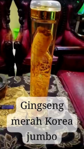 Gingseng merah Korea original jumbo lengkap 51 cm