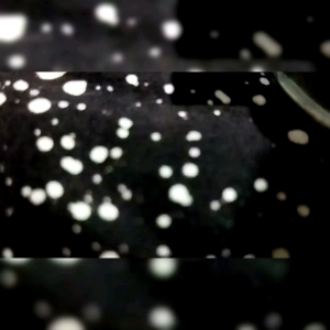 Soket Sok Drat Nepel Alkon Mesin Pompa Air Ukuran 1½ Inch x ¾ Inch Socket Kopling Sock Sambungan Aluminium Water Pump Diesel Irigasi Sawah Robin Mini Honda Solat Tesla Vitara Nishikawa