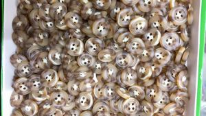 Nút sơmi 4 lỗ kiểu đồi mồi.