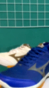 promo sepatu voli badminton tenis padel murah keren berkualitas miizuno pria wanita olahraga indoor