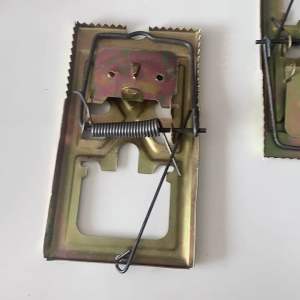 BẪY CHUỘT ĐẬP RĂNG CƯA CỰC NHẠY