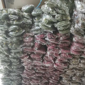 Warung Gorden Tali Gorden Tassel gorden Mutiara tali pengikat gorden jumbai tali gorden