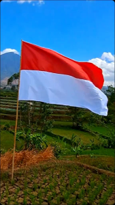 Bendera Merah Putih bergai ukuran cocok untuk depan rumah kantor sekolahan