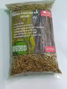 BENIH PADI KETAN HITAM SUPER UNGGUL PAKET 500GRM Benih Herb Seeds 500 Gram Benih Padi Untuk Tanaman - Lazada