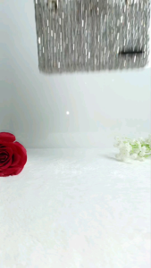 Túi Xách Nữ Pha Lê LARISSA ZELI 2 Quai Thanh Lịch Túi Xách Thời Trang Nữ Đựng Điện Thoại